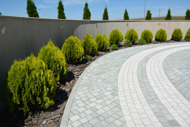 Best Driveway Pavers Near Me  in Susitna North, AK